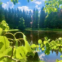 Schwarzer Teich im oberen Verlauf der Zschopau