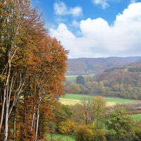 Natursteig Sieg, Etappe 05