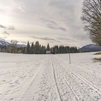 20240125_Kulmberg-Runde_2385.jpg
