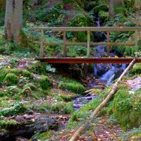 Steg im Ramsteiner Loch