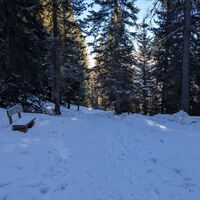 Ronda del Ciampedie ©Archivio APT Val di Fassa