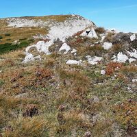 am Vorgipfel Hoher Klapf Windberg 1865m ( lt. OSM)