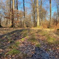 Trail Tour 47
