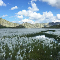 Lago Laiòzz