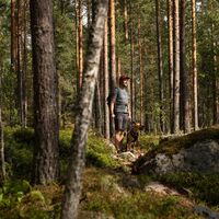 Wanderer am Paistjärvi