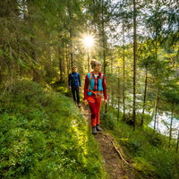 Drei Bachläufe prägen den Enzquellenpfad: Enz, Kaltenbach & Poppelbach