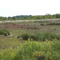 Rund üm dat Ahlenmoor