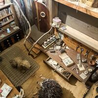 Der Murmeltierpfad ©Archivio Funivia Ciampac e Contrin S.p.A.