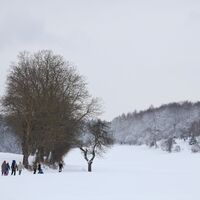 Winterlandwandern rund um Diedelsheim