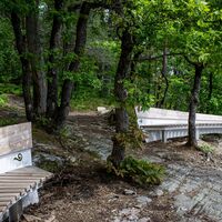 Aussicht Hohes Kreuz Slow Trail  Römerschlucht