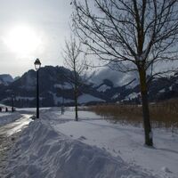 Gypsera-Winterwanderung Seerundgang Schwarzsee