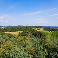Blick von der Weinwarte
