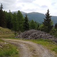10.9 km Abfahrt