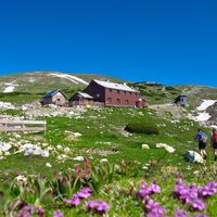 Graf-Meran-Schutzhaus unterhalb des Gipfels "Hohe Veitsch"