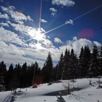 Feistritzsattel - Harterkogel