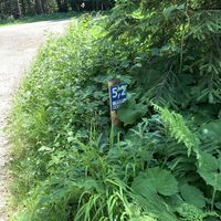 Bald ist es geschafft