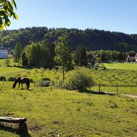 Der Park des Schlosses Katzenstein