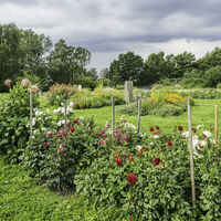 Blütenpracht in den Luhegärten in Winsen