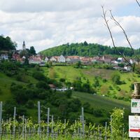 WT5_WeinWanderWeg_Löwenstein_Weinsberger Tal_Linnebach_HeilbronnerLand