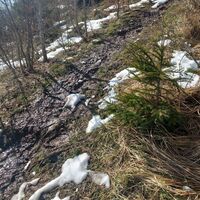 Mehr Bach als Wanderweg