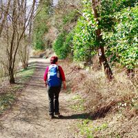 Durch die Ilmenau-Anlage
