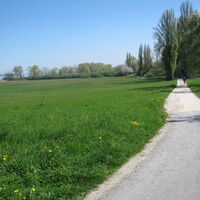 Höriradweg  Iznang - Horn