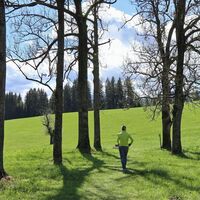 Allee kurz vorm Reitinger