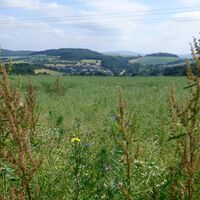 Pfälzer Bergland