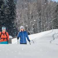Schneeschuh- und Wildspuren vor Huot