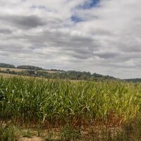 Wanderweg LA1