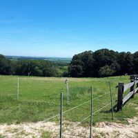 Ausblick am Liebfrauenberg