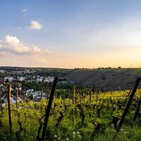 Aussichtsreich Walheim Schönste Weinsicht Blick Besigheim 2022