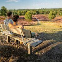 Rast bei der Wanderung auf dem Brunsberg