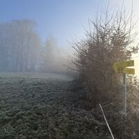 Nur mit viel Phantasie sind hier Steigspuren zu sehen, aber der Wegweiser hat Autorität!