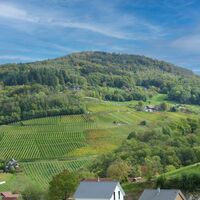 Aussicht am Kunstweg über Michelbach
