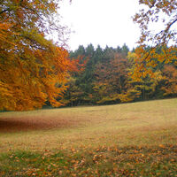 Eiberg - Herbst