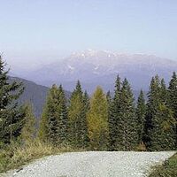 Von der Frauenalm führt ein Schotterweg über den Frauenalmsattel zur Schüttalm u