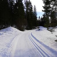 Perfekte Bedingungen auf der Loipe Fadental - Schnittlermoos