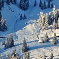 Blick auf die Schafbödenalm