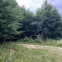 Hier trifft man auf den "Normalweg" von Kreisbach
