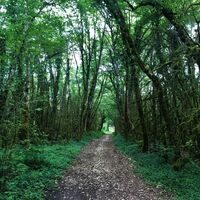 Weg zum Lac de Chailloux