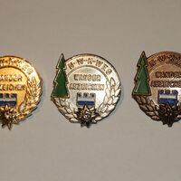 NWKW_Abzeichen