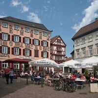 Neckartal-Radweg Eberbach