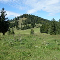 Blick zurück zur Paulmauer