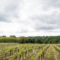 rando-st caprais