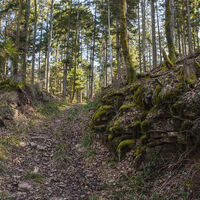 Mildersbachtalrundweg