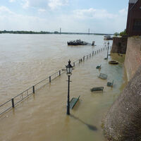 Rheinhochwasser