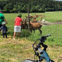 Dammhirschgehege vor Hausen aus Pfullendorf kommend