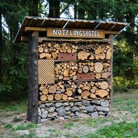Nützlingshotel