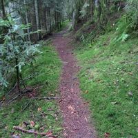 Absteig zur Wolfsschlucht